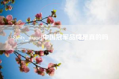 汉中中国冠军品牌是真的吗