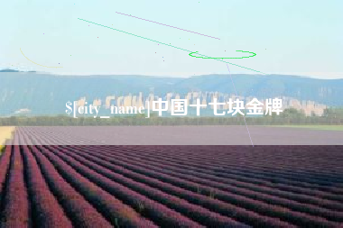汉中中国十七块金牌