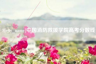 汉中中国消防救援学院高考分数线