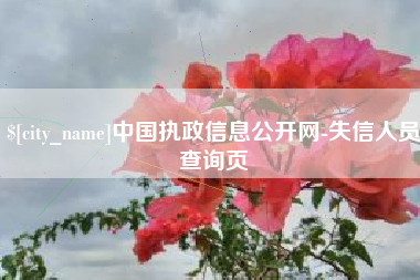 汉中中国执政信息公开网-失信人员查询页