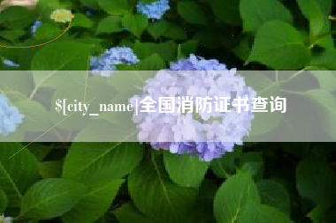 汉中全国消防证书查询