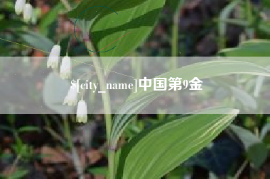 汉中中国第9金