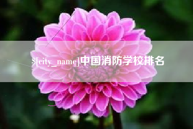 汉中中国消防学校排名