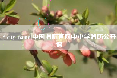 汉中中国消防官网中小学消防公开课