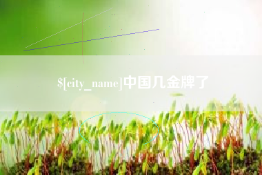 汉中中国几金牌了