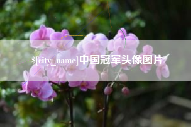 汉中中国冠军头像图片