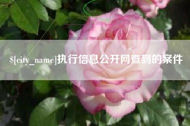 汉中执行信息公开网查到的案件