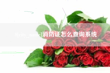 汉中消防证怎么查询系统