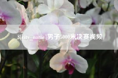 汉中男子5000米决赛视频