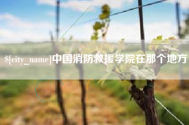 汉中中国消防救援学院在那个地方