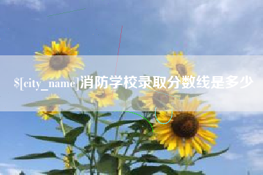 汉中消防学校录取分数线是多少