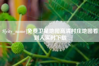 汉中免费卫星地图高清村庄地图看到人实时下载