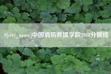 汉中中国消防救援学院2018分数线