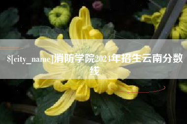 汉中消防学院2024年招生云南分数线