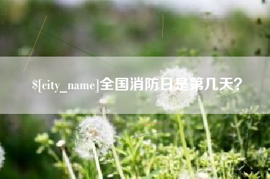 汉中全国消防日是第几天？