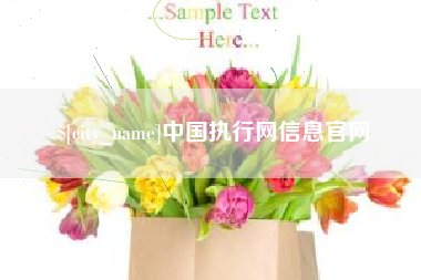 汉中中国执行网信息官网