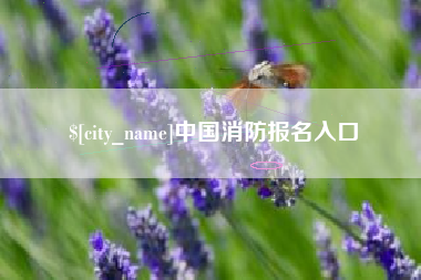 汉中中国消防报名入口