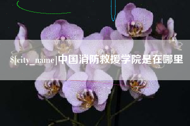 汉中中国消防救援学院是在哪里