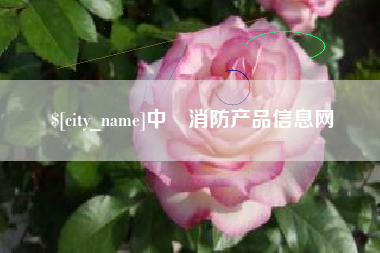 汉中中囯消防产品信息网