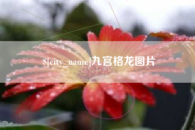 汉中九宫格龙图片
