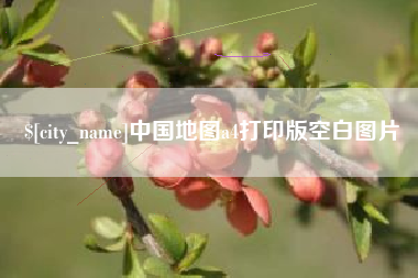 汉中中国地图a4打印版空白图片