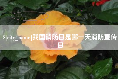 汉中我国消防日是哪一天消防宣传日