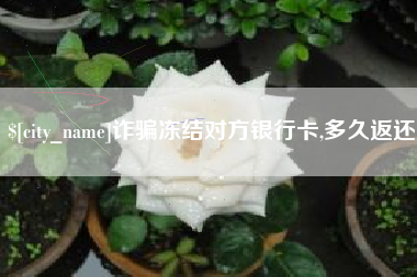 汉中诈骗冻结对方银行卡,多久返还
