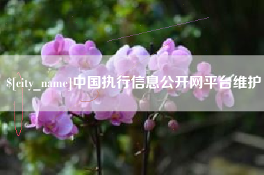 汉中中国执行信息公开网平台维护