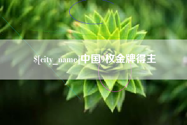 汉中中国9枚金牌得主