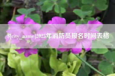 汉中2025年消防员报名时间表格
