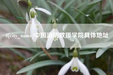汉中中国消防救援学院具体地址
