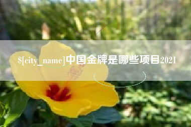 汉中中国金牌是哪些项目2021