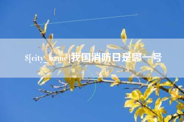 汉中我国消防日是哪一号