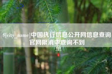 汉中中国执行信息公开网信息查询官网限消中查询不到