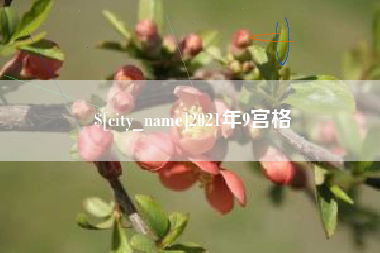 汉中2021年9宫格