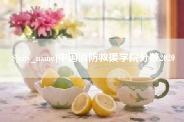 汉中中国消防救援学院分数2020