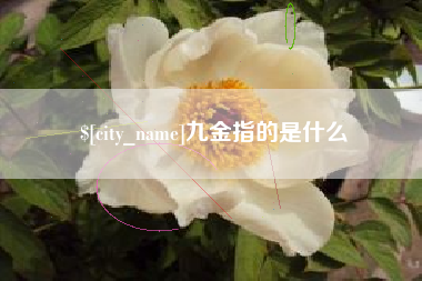 汉中九金指的是什么