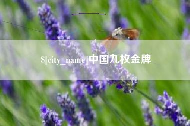 汉中中国九枚金牌