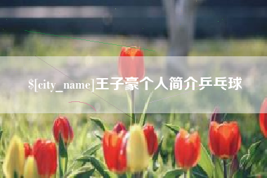 汉中王子豪个人简介乒乓球