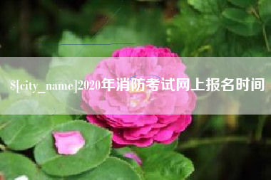 汉中2020年消防考试网上报名时间