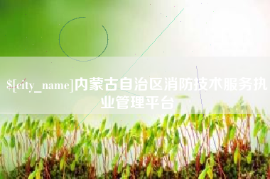 汉中内蒙古自治区消防技术服务执业管理平台