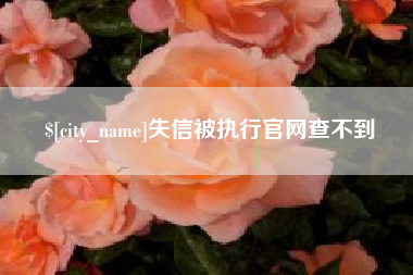 汉中失信被执行官网查不到