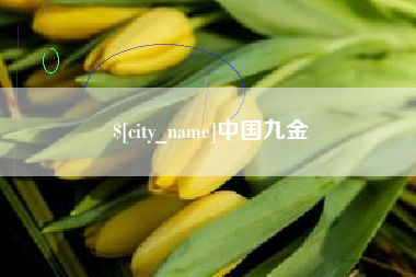 汉中中国九金