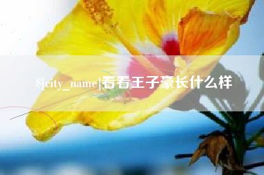 汉中看看王子豪长什么样