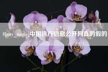 汉中中国执行信息公开网真的假的