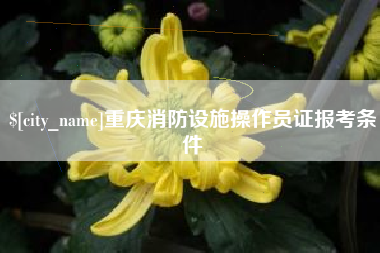 汉中重庆消防设施操作员证报考条件