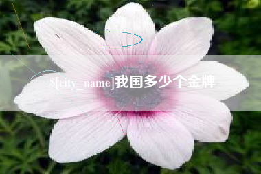 汉中我国多少个金牌