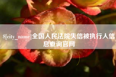 汉中全国人民法院失信被执行人信息查询官网