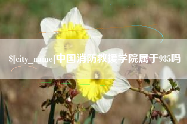 汉中中国消防救援学院属于985吗
