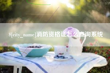 汉中消防资格证怎么查询系统